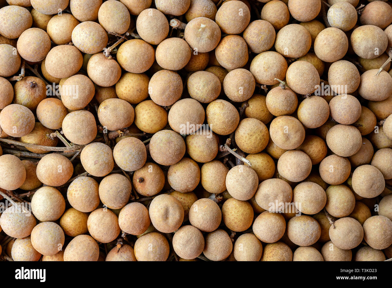 Fruits thaïlandais longane arrière-plan. Longane fruits exotiques pour vendre dans la rue du marché, la Thaïlande, Close up, vue du dessus Banque D'Images