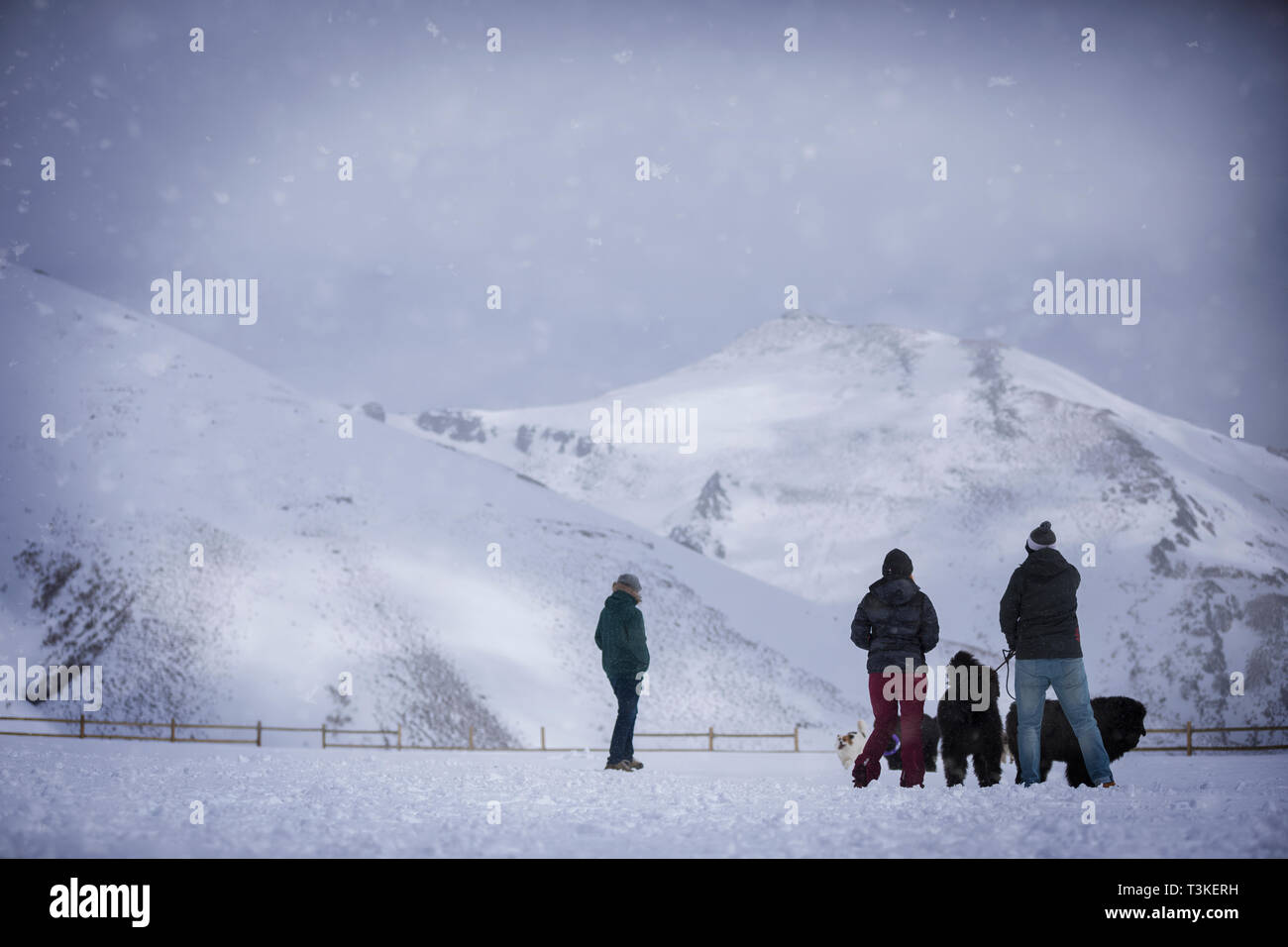 Groupe de personnes dans la neige Banque D'Images
