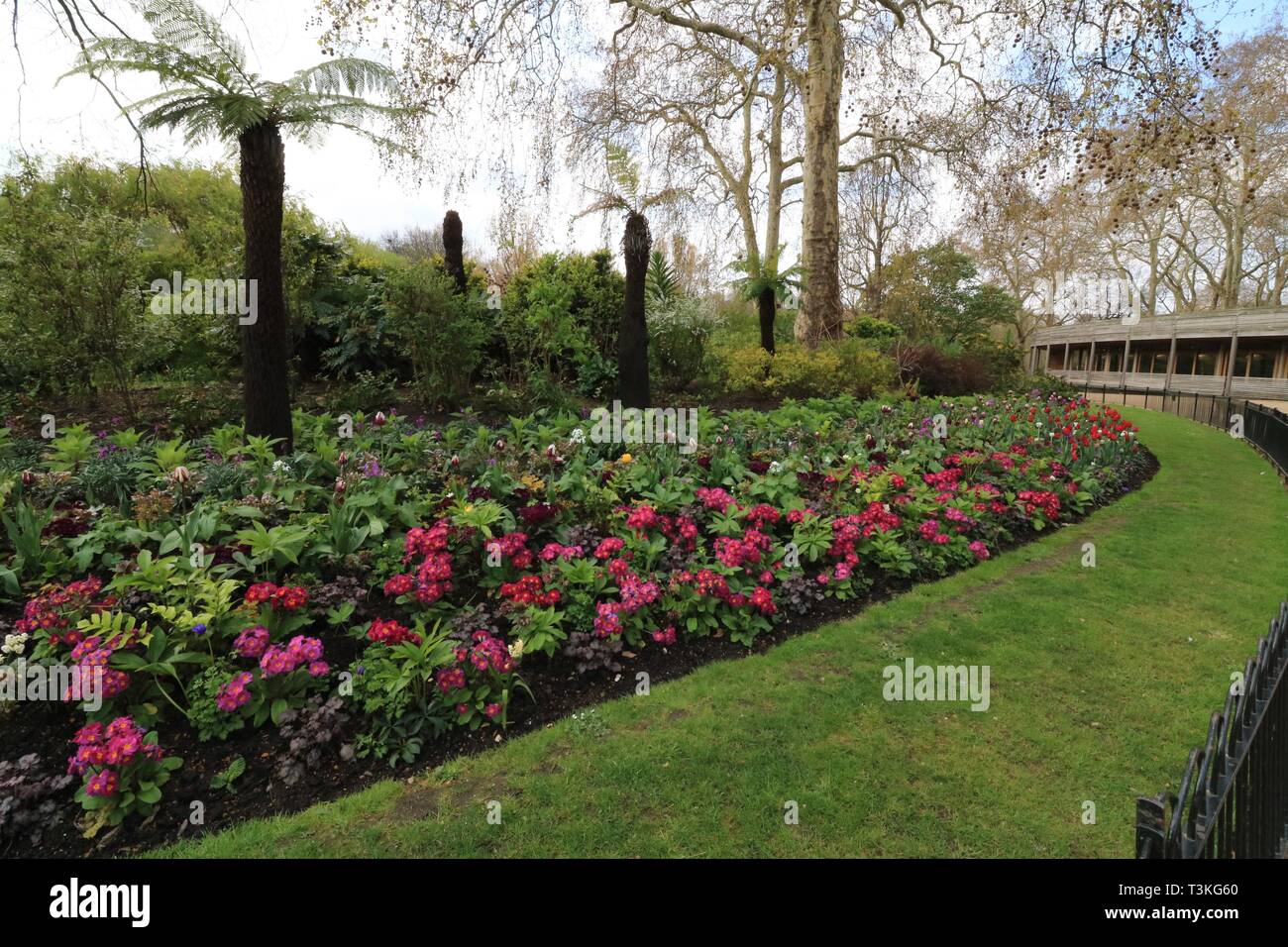 Parterre de plantes montrant des couleurs assorties Banque D'Images