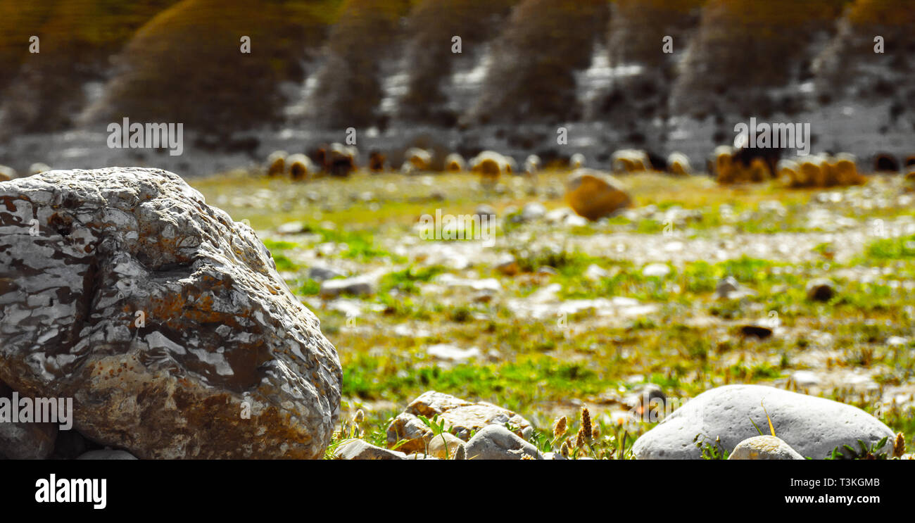 Une scène de paysage de désert de roches avec l'élevage des moutons dans l'arrière-plan Banque D'Images