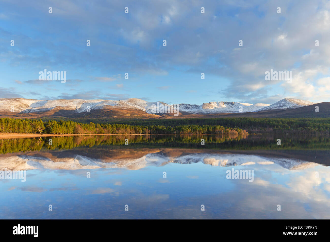 Le Loch Morlich et montagnes de Cairngorm, le Parc National de Cairngorms près d'Aviemore, Badenoch et Strathspey, Ecosse, Royaume-Uni Banque D'Images
