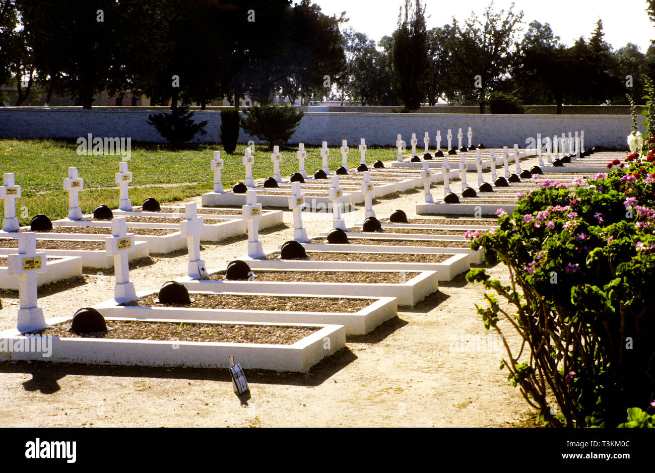 Tirage Vintage De Tunis (Tunisie) - Vue Du Cimetière Du Djellaz - Circa 1918 - Original 9x13.5 Cm