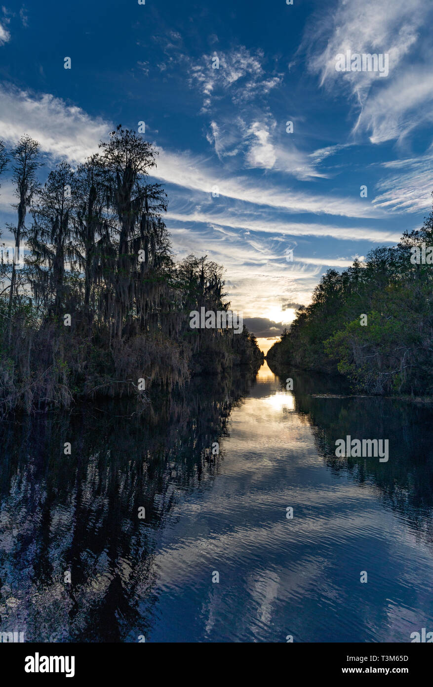 Canal à l'entrée sud d'Okefenokee Swamp, avec le coucher du soleil à distance. Banque D'Images