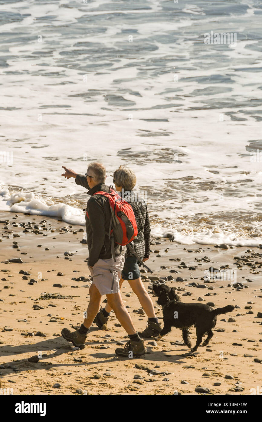 La baie de Langland, Gower, PENNINSULA - février 2019 Pays de Galles : l'homme et de la femme marchant le long de la plage avec leur chien à Langland Bay au Pays de Galles. Banque D'Images