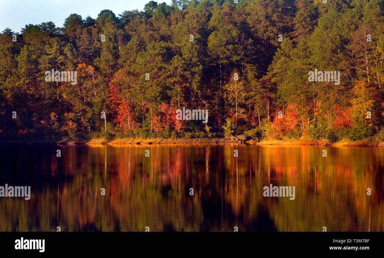 Les feuilles d'automne reflètent dans l'eau au lac Nicol à Tuscaloosa, Alabama, le 29 octobre 2008. Banque D'Images