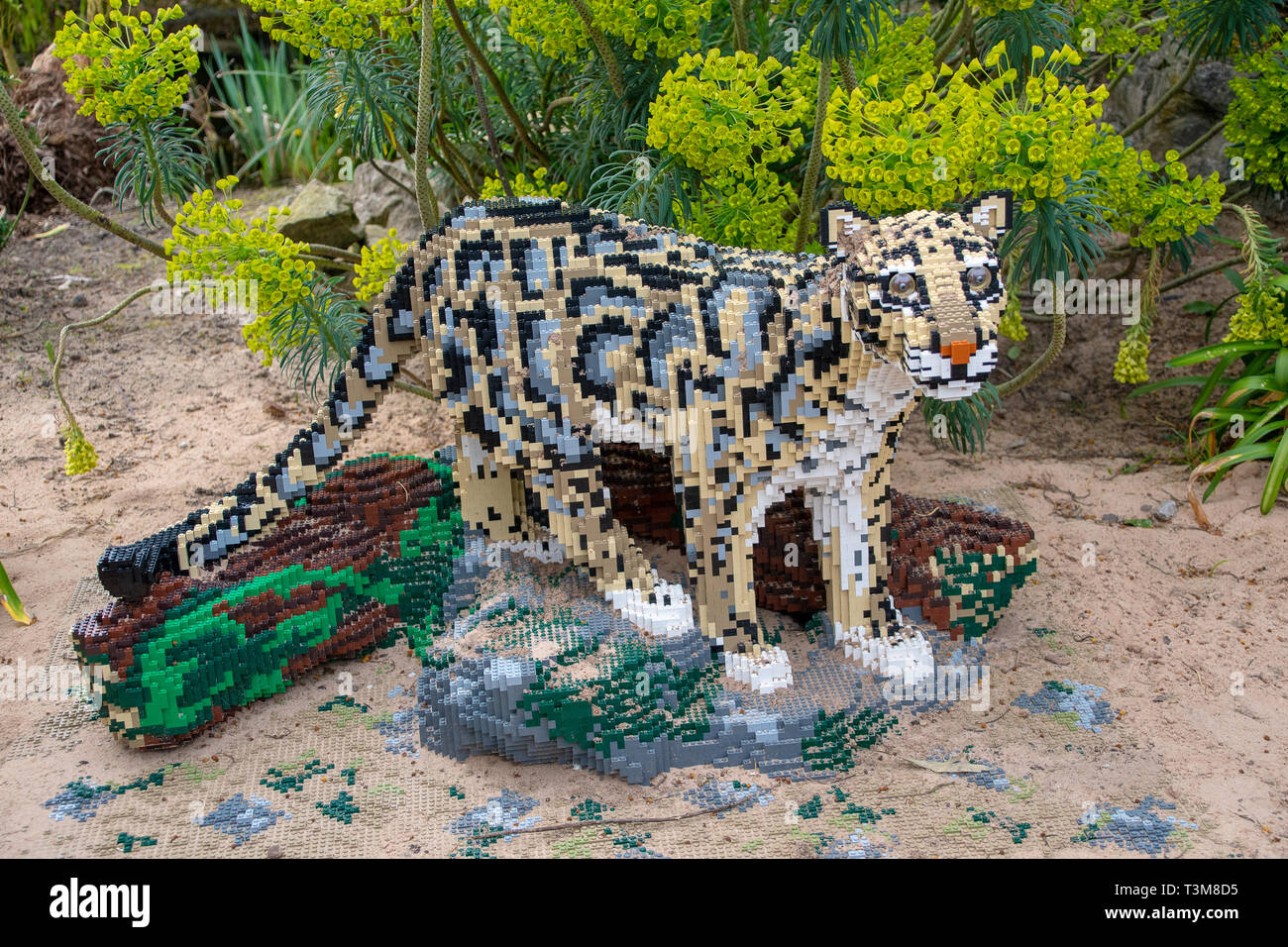 CHESTER, Royaume-Uni - 27 mars 2019 : une panthère nébuleuse statue fabriqué à partir de briques Lego Banque D'Images