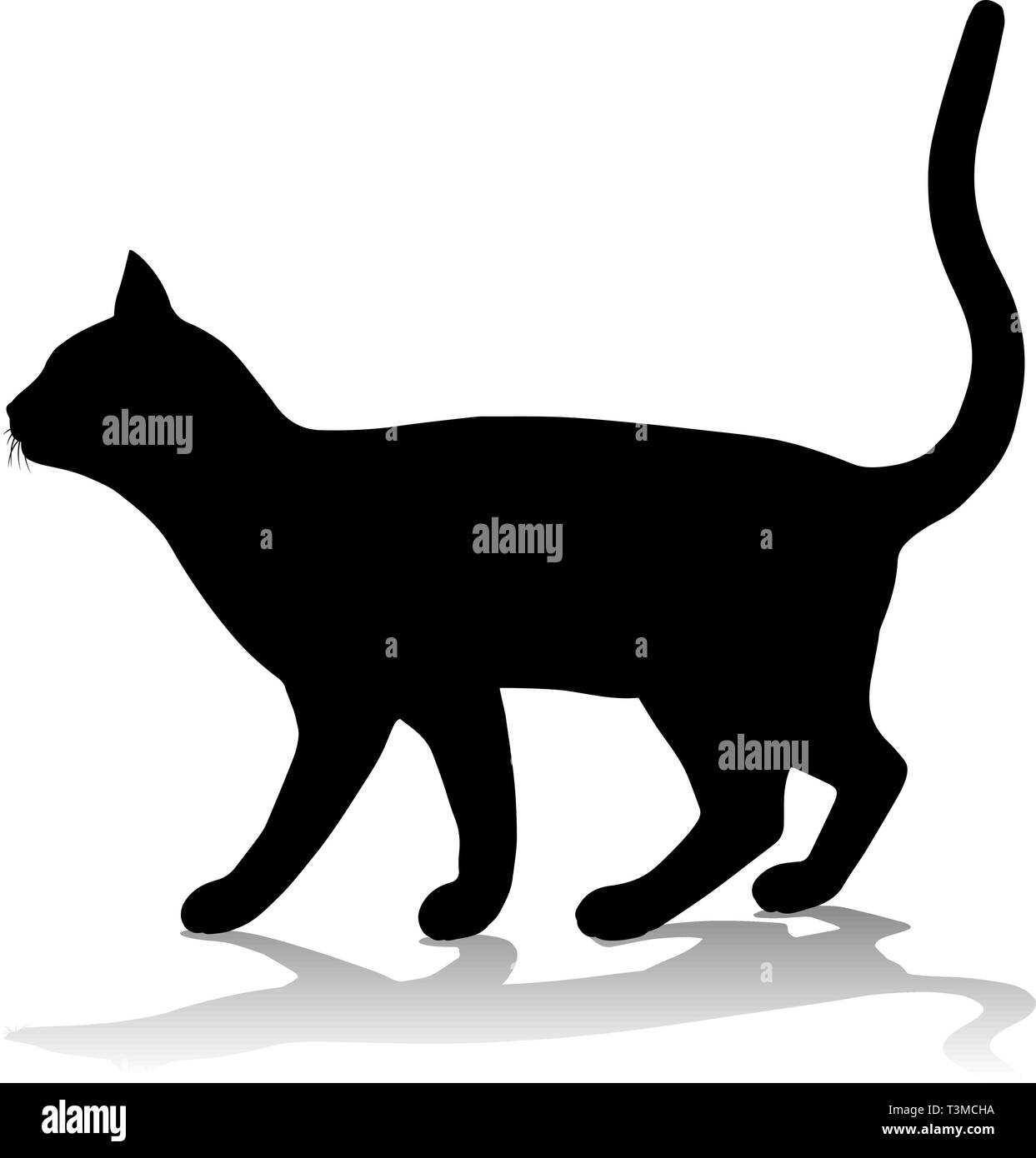 Animal De Compagnie Chat Silhouette Image Vectorielle Stock Alamy