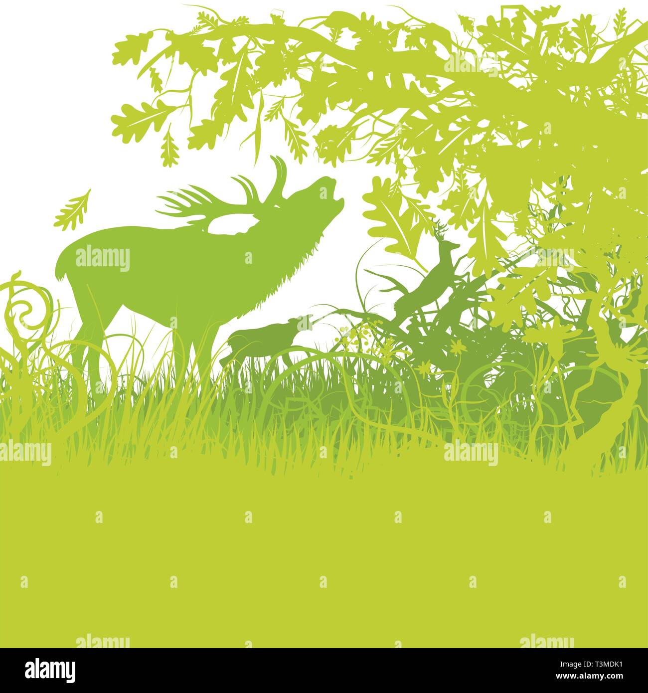 Cerfs rugissant dans une forêt verte Illustration de Vecteur