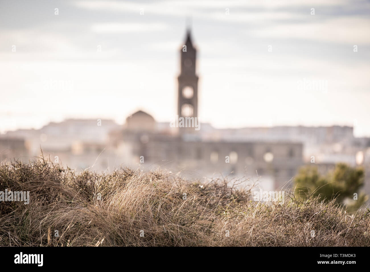La ville de Matera, dans la province de la Basilicate, Italie, 2019 Capitale Européenne de la Culture. (Site du patrimoine mondial de l'UNESCO), la Cathédrale, 13e siècle Banque D'Images