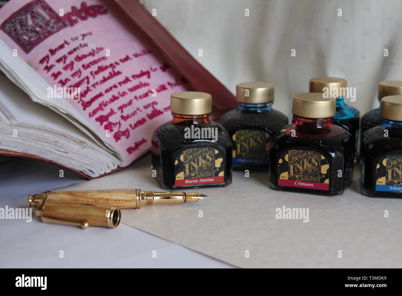 Les encres de stylo de calligraphie et d'outils Banque D'Images