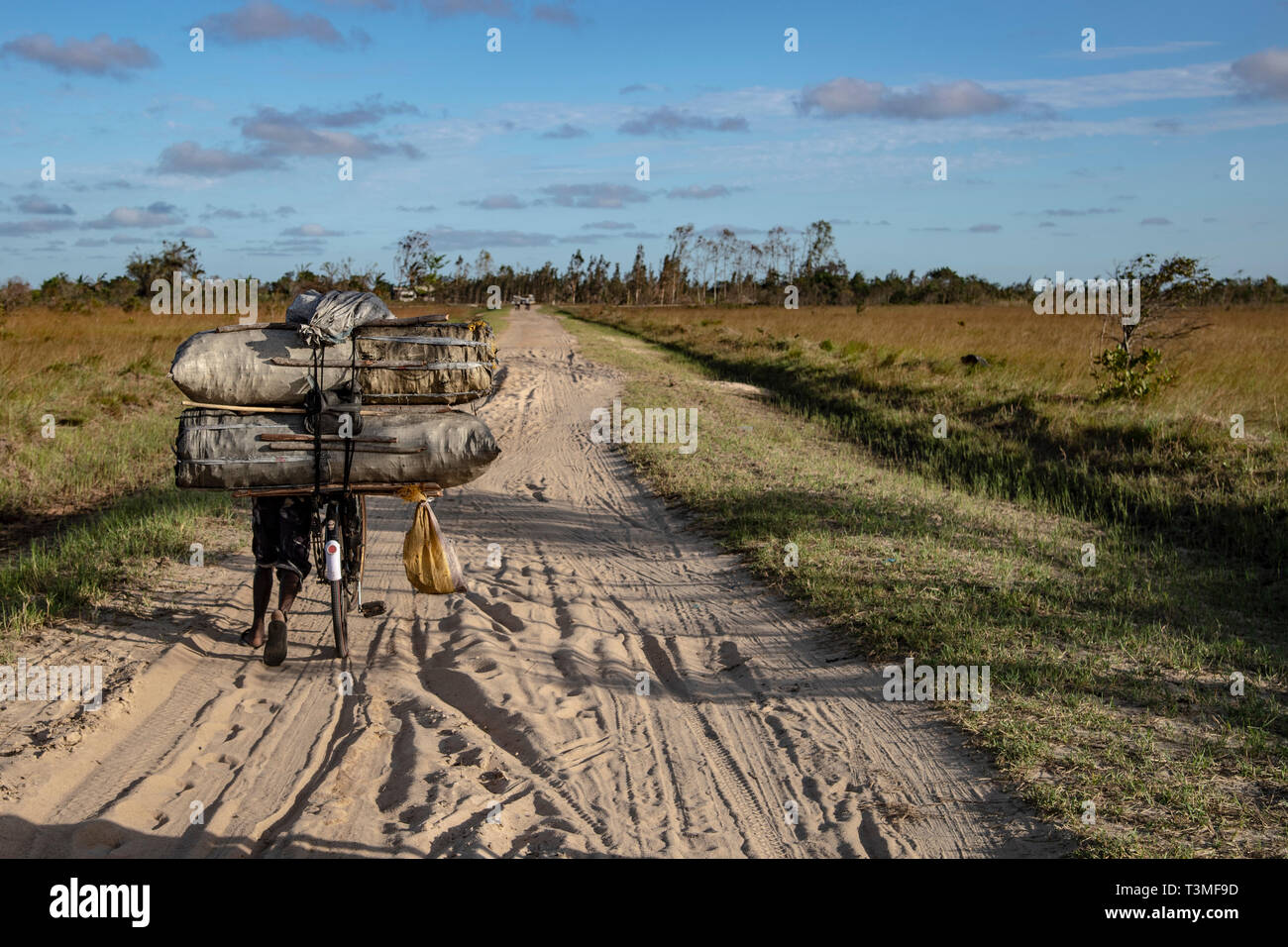 Un homme pousse son vélo chargé avec du charbon pour la cuisson à travers le sable et les suites de l'Idai Cyclone massive le 6 avril, 2019 dans Nhagau, au Mozambique. Le Programme alimentaire mondial, avec l'aide de l'US Air Force est de transporter du matériel de secours d'urgence pour aider la région dévastée. Banque D'Images