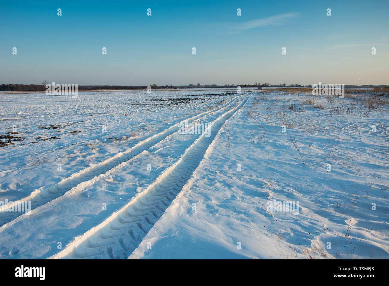 Les traces du véhicule sur la neige vers l'horizon - vue d'hiver Banque D'Images