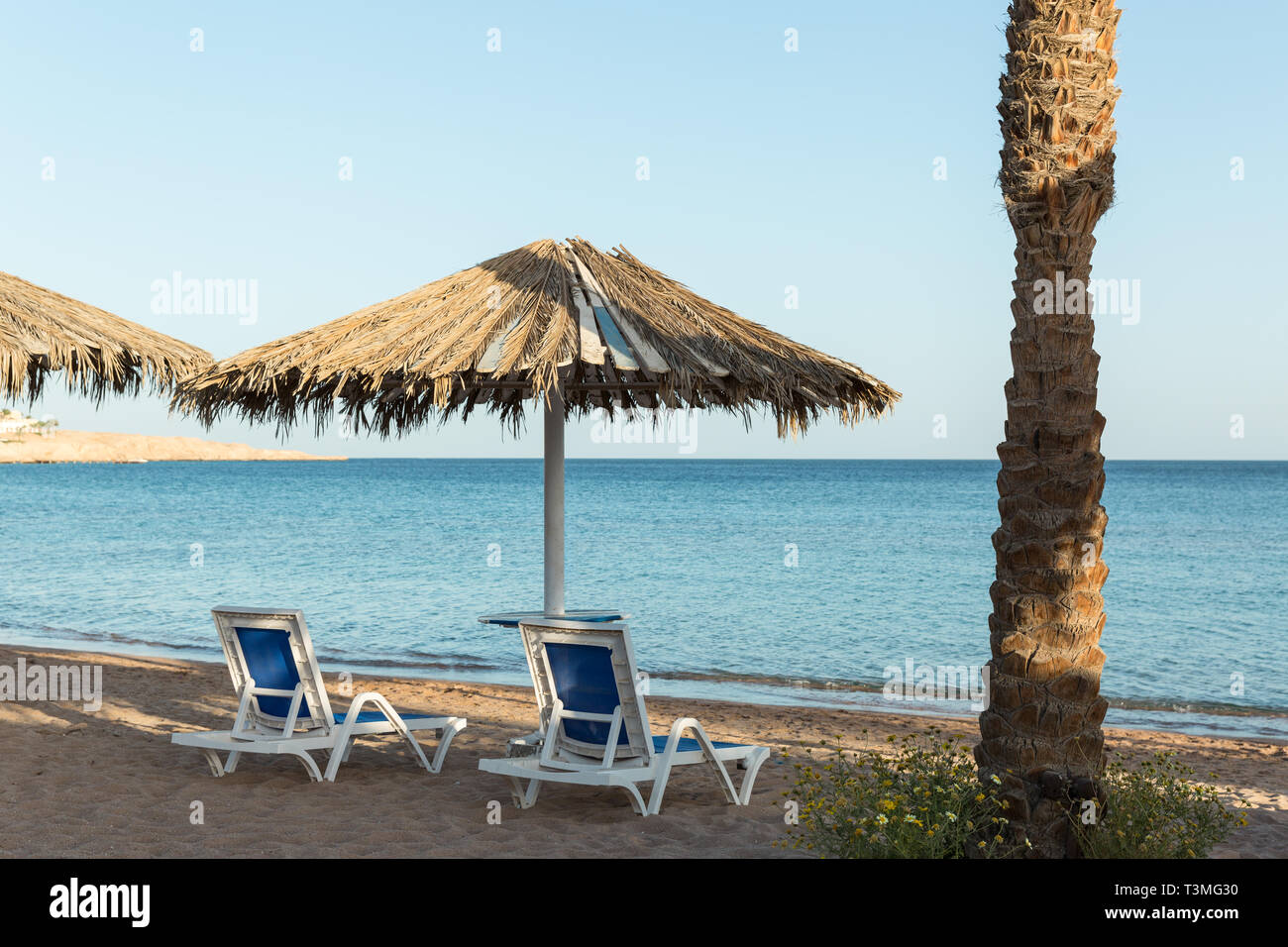 Une Chaise Longue Sous Un Parapluie Plage De Sable Avec Des