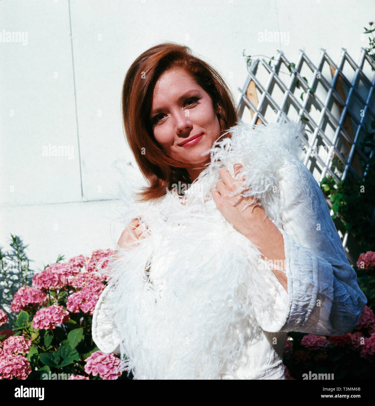 Portraitserie der Britischen Schauspielerin Diana Rigg aka. Dame Enid Diana Rigg Elizabeth, ca. Er des années 1970. Série Portrait de l'actrice britannique Diana Rigg aka. Dame Enid Diana Rigg Elizabeth, vers les années 1970. Banque D'Images