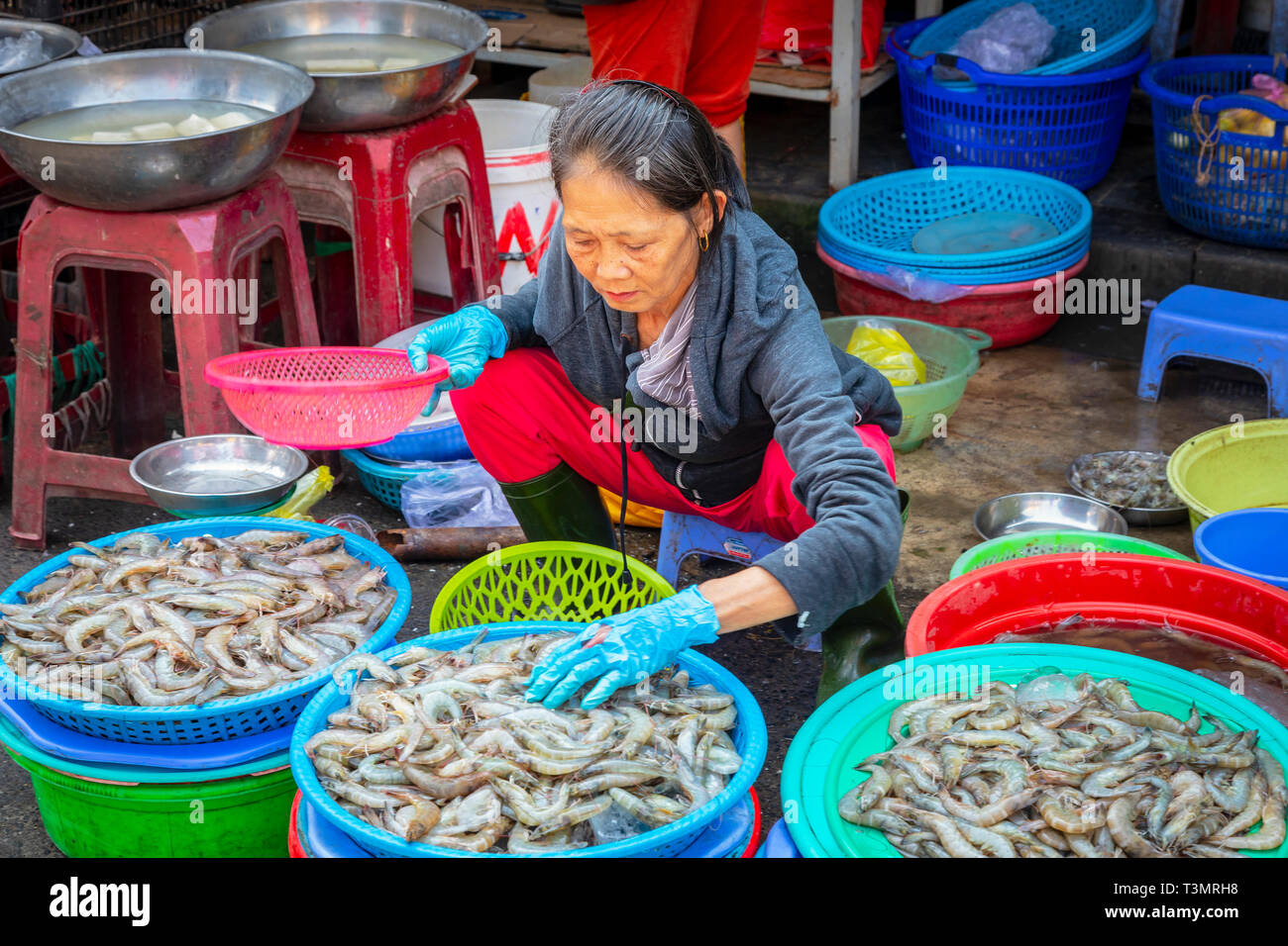 Vietnamese woman selling crevettes fraîches et des fruits de mer dans les rues du vieux quartier de Hoi An, Quang Nam, Vietnam, Asie Provence Banque D'Images