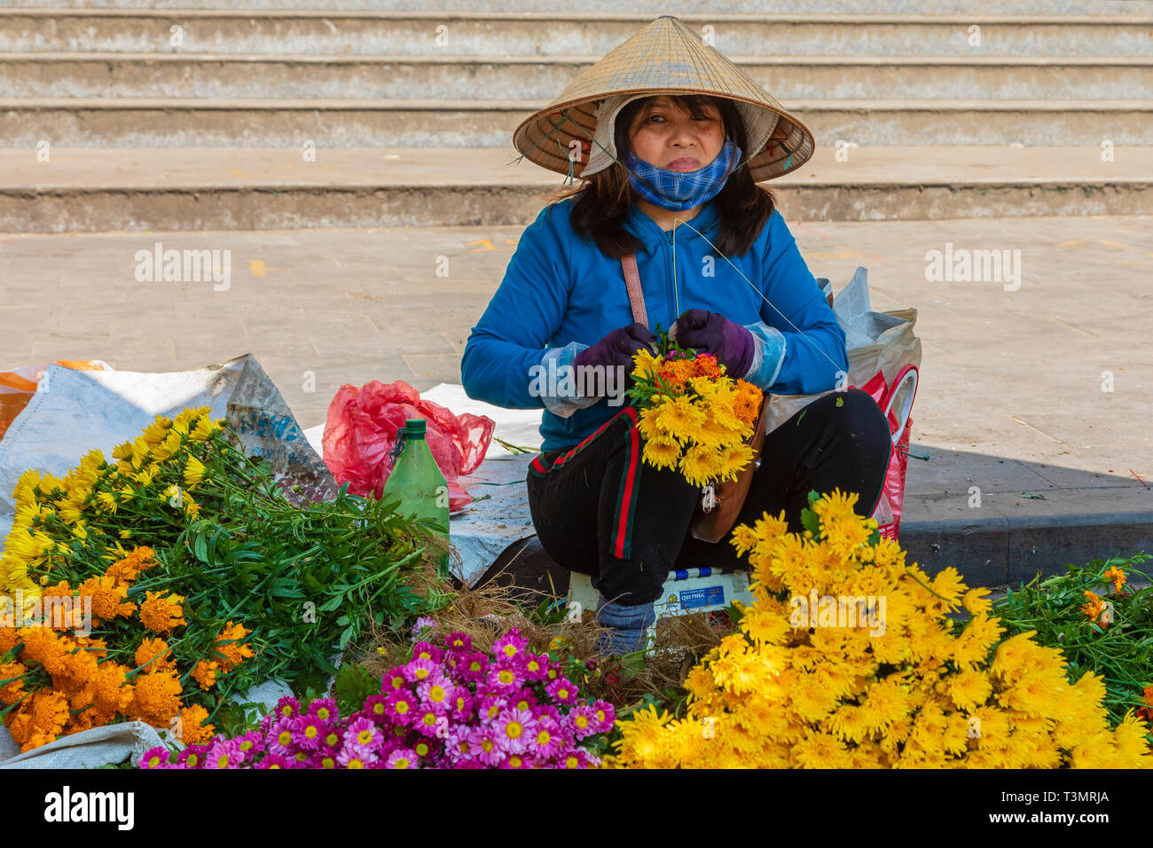 Vietnamese woman selling fleurs fraîches au marché aux fleurs, vieille ville de Hoi An, Quang Nam Provence, Hanoi, Asia Banque D'Images