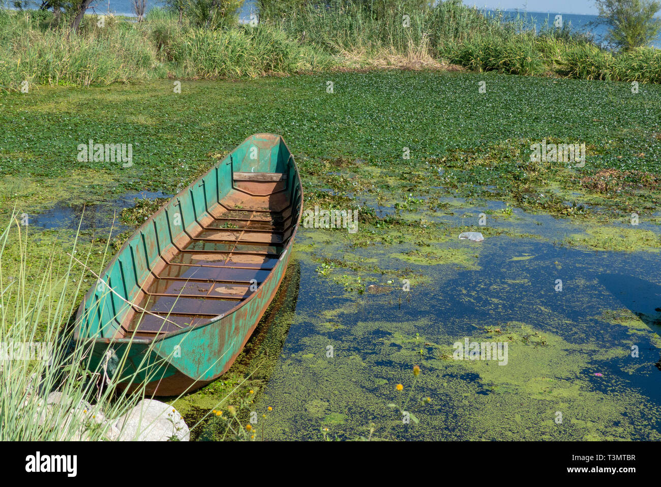 Bateau de pêche sur le Lac Erhai, Shuanglang, Yunnan, Chine Banque D'Images