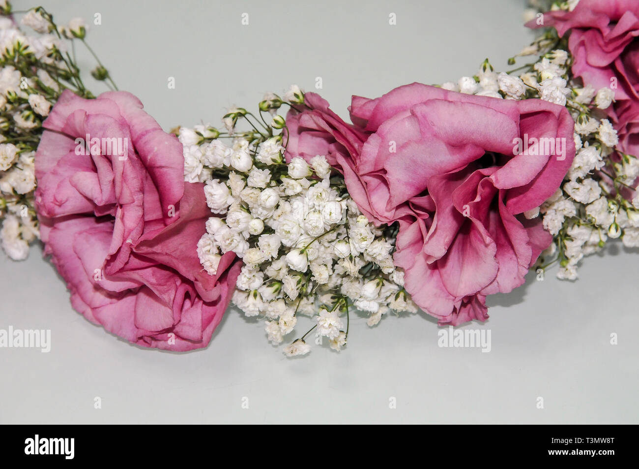 Guirlande de fleurs sur fond blanc Banque D'Images
