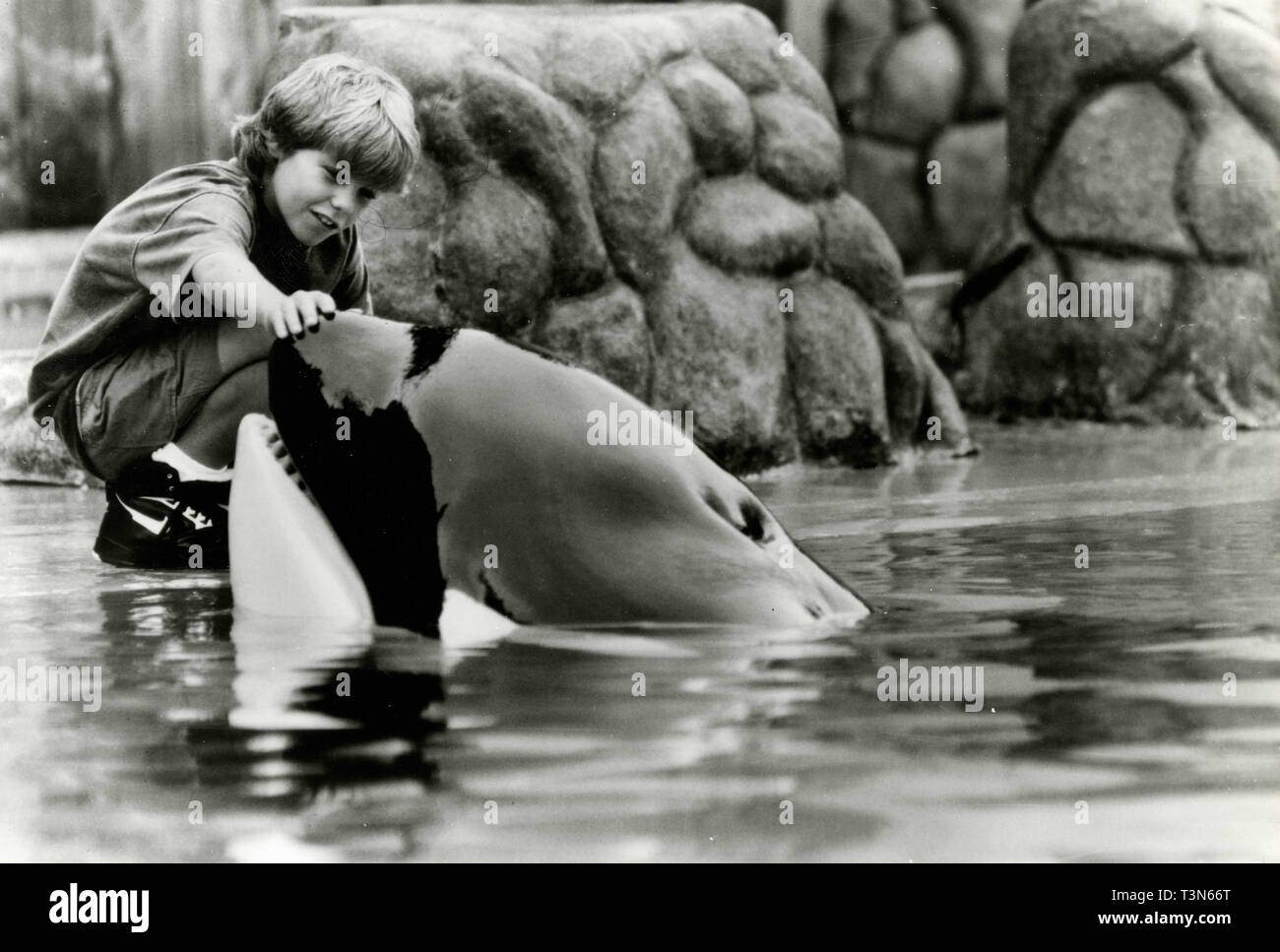 Acteur Jason James Richter dans le film Free Willy, 1993 Banque D'Images
