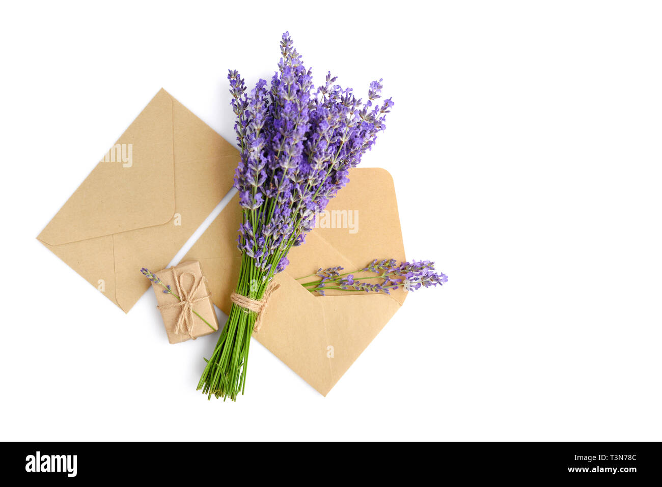 Fleurs de Lavande fraîche et enveloppes sur fond blanc Banque D'Images