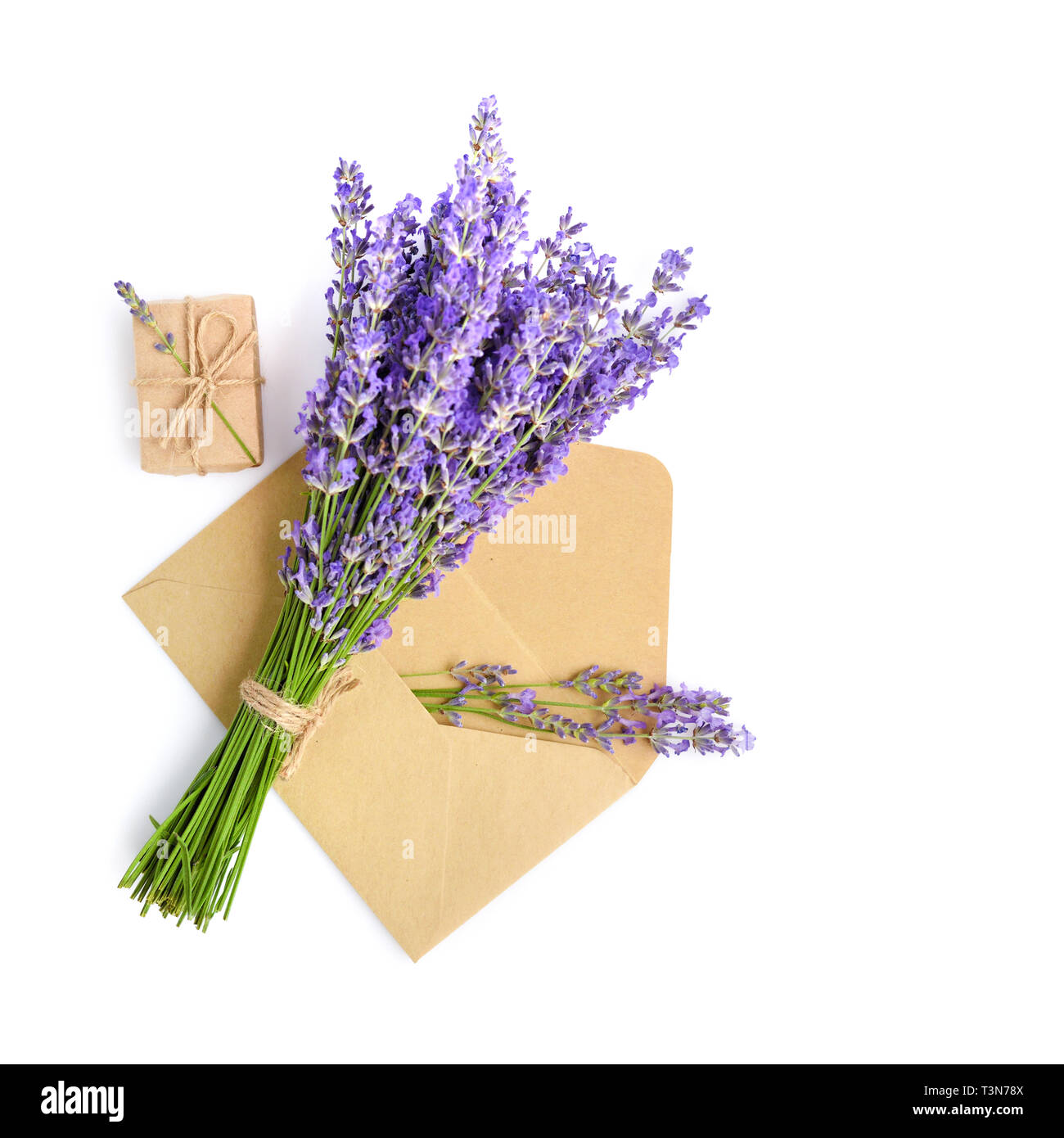 Fleurs de Lavande fraîche et de l'enveloppe sur fond blanc Banque D'Images