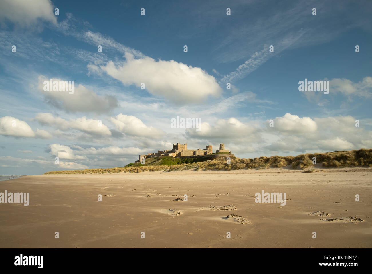 Château de Bamburgh et belle plage de sable vide, Northumberland, England, UK (mai 2017) Banque D'Images
