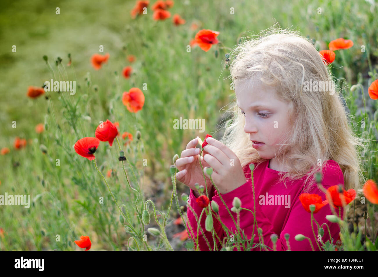 Fille blonde aux cheveux longs et les fleurs rouges Banque D'Images