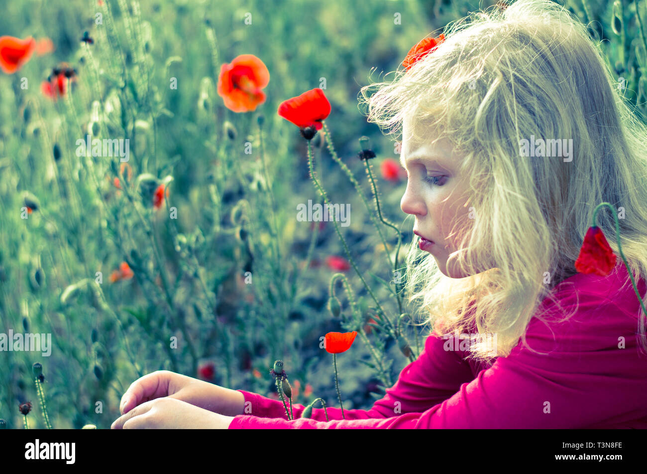 Belle fille blonde avec du maïs rouge coquelicot Banque D'Images