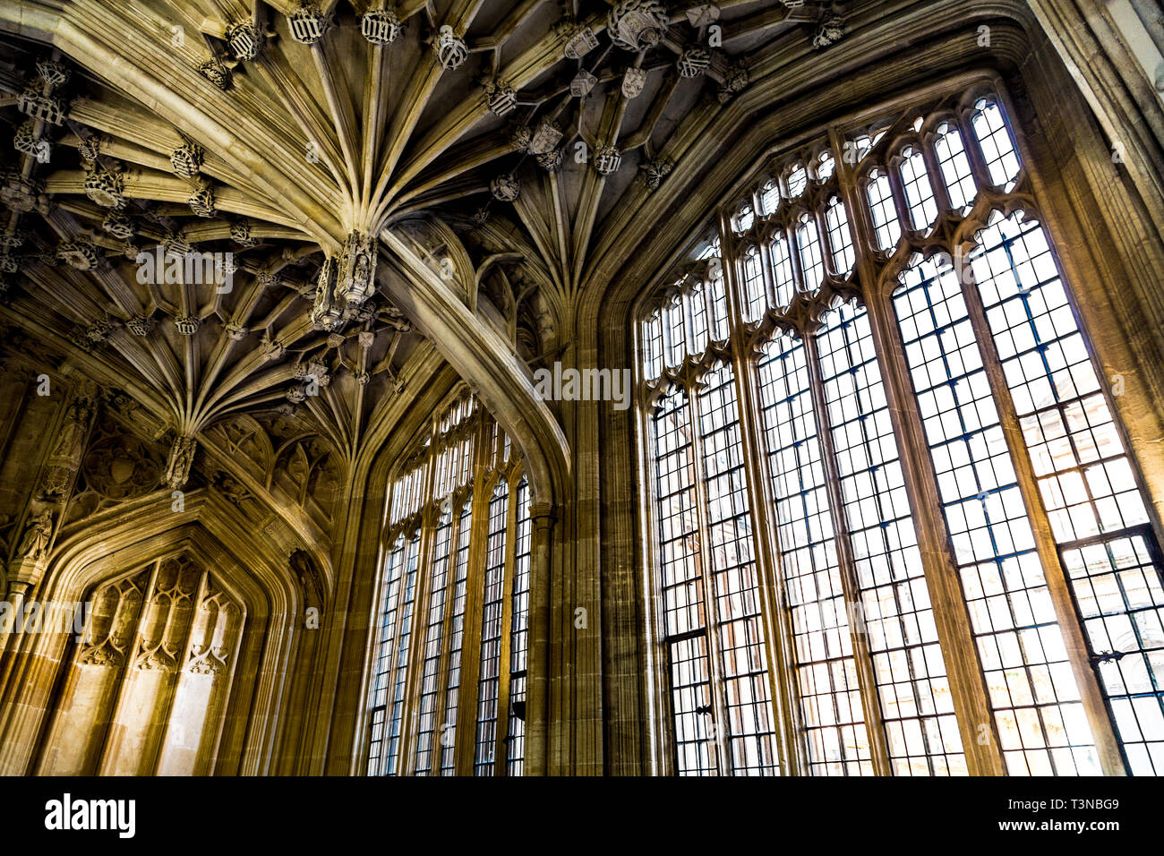 Plafond voûté et windows dans une cité médiévale de l'intérieur de la Divinity School à Oxford, UK Banque D'Images