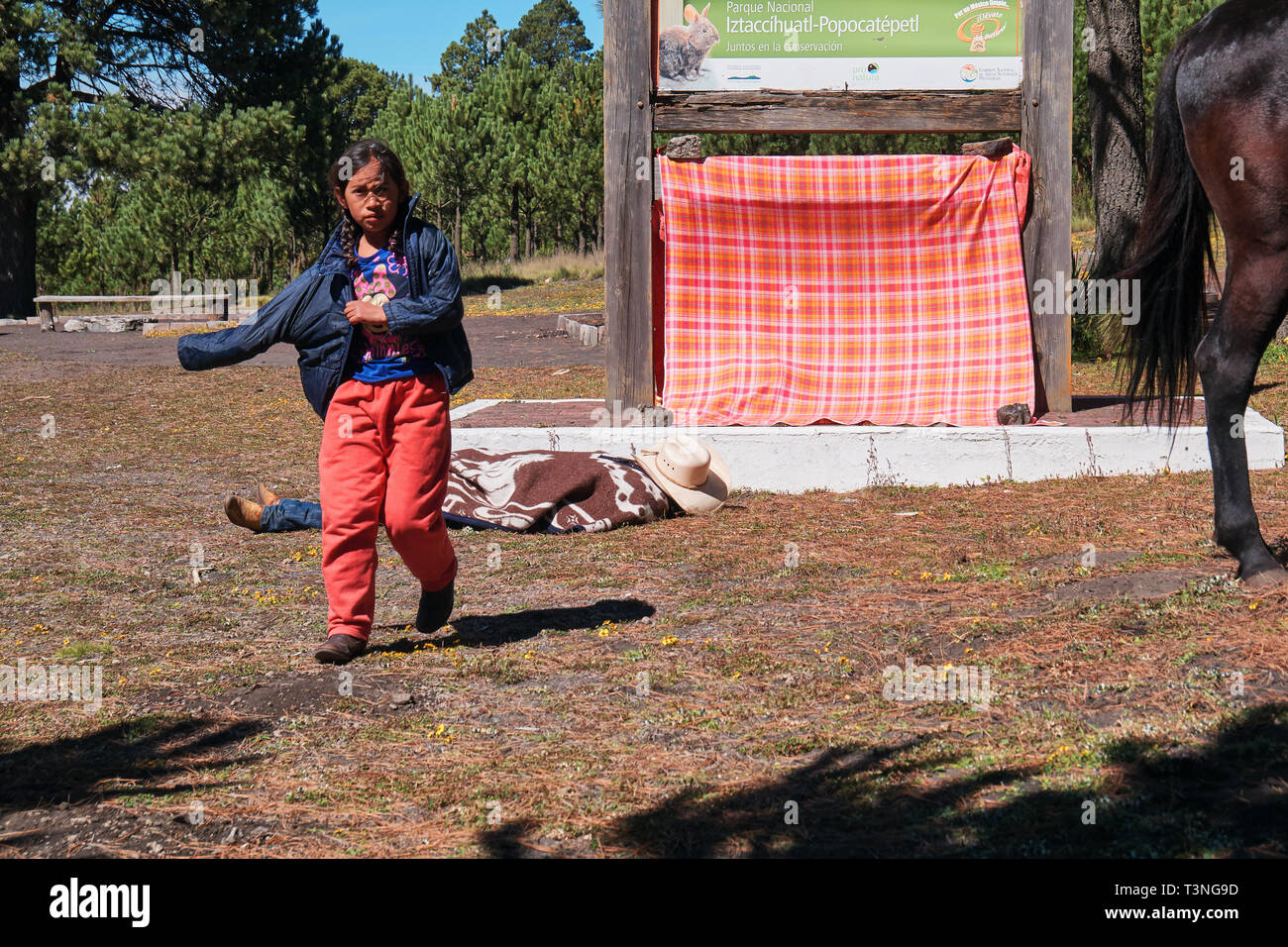 Enfant mexicain et dormir près de son cheval pèlerin, Izta-Popo Zoquiapan Parc National, Mexique Banque D'Images