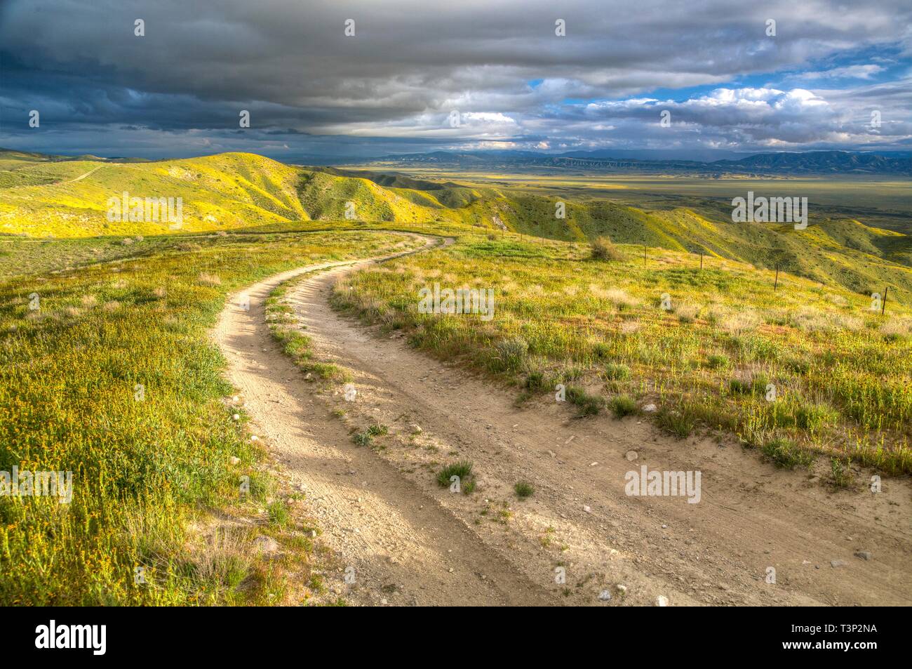 Le Comté de San Luis Obispo, Californie, USA. 10 avril, 2019. Masses de fleurs sauvages couvrent les collines stériles normalement du Carrizo Plain National Monument pendant le super bloom 10 avril 2019 dans le comté de San Luis Obispo, en Californie. Après plusieurs semaines d'une superbe affiche les super bloom devrait s'estomper lorsque les températures commencent à augmenter dans la région. Credit : Planetpix/Alamy Live News Banque D'Images