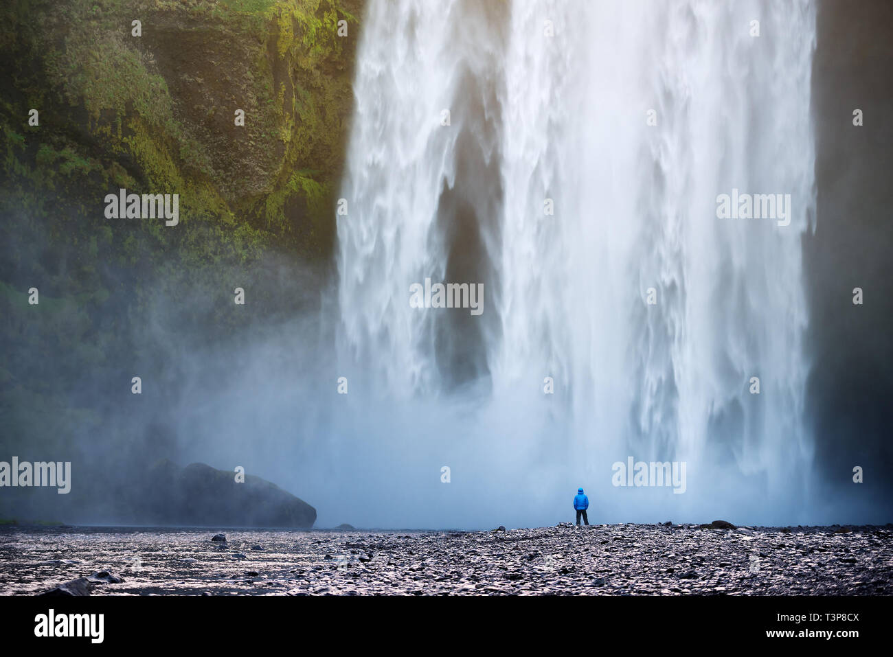 Tourist regarde une immense cascade Skogafoss. Attraction touristique de l'Islande Banque D'Images