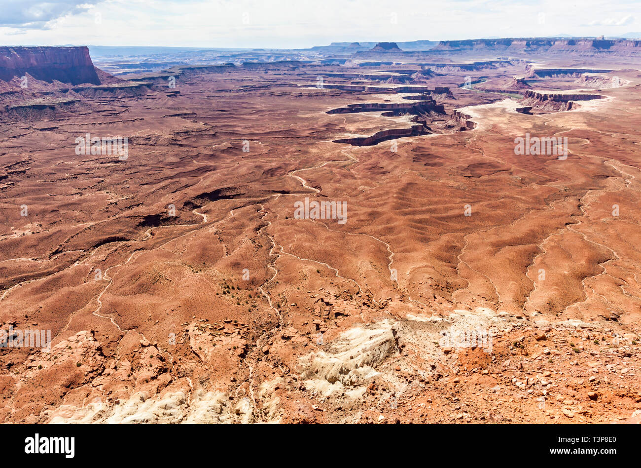 Vue sur la rivière verte dans le parc national de Canylonlands, île dans le quartier Sky, Utah, États-Unis. Banque D'Images