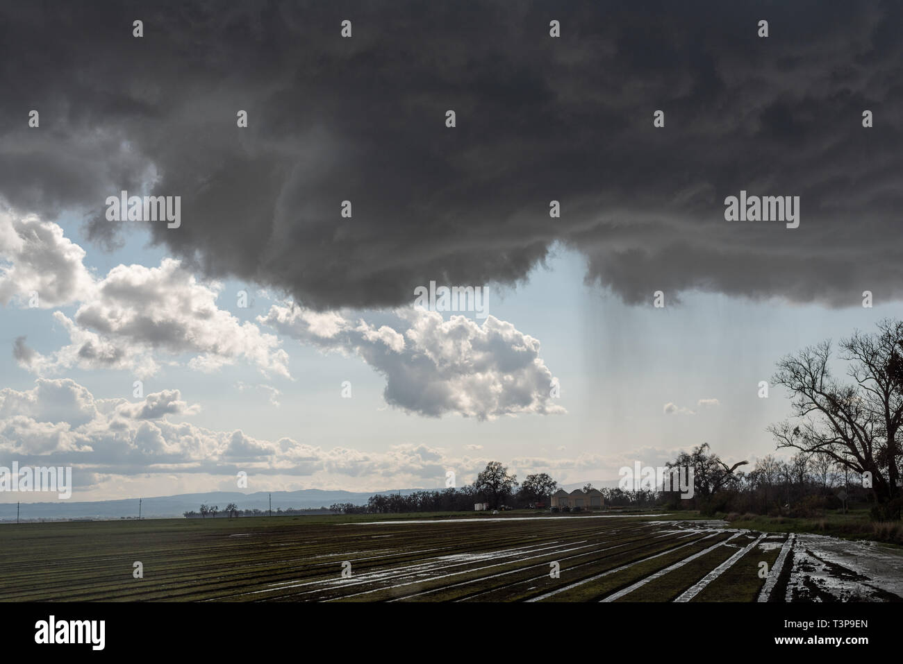 Un mur de nuages et de la pluie de l'arbre en rotation dans un orage supercellulaire mini, comté de Californie du nord, au printemps de 2019. Banque D'Images Un mur de nuages et de la pluie de l'arbre en rotation dans un orage supercellulaire mini, comté de Californie du nord, au printemps de 2019. Banque D'Images