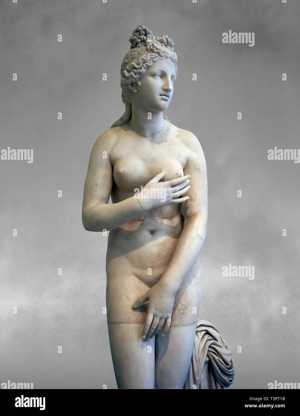 2ème ANNONCE de siècle Roman sculpture de marbre d'Aphrodite (Vénus), 'Dresden Type Capitolin, copiés à partir d'un original grec, Hellanistic inv 6238, Musée d'un Banque D'Images