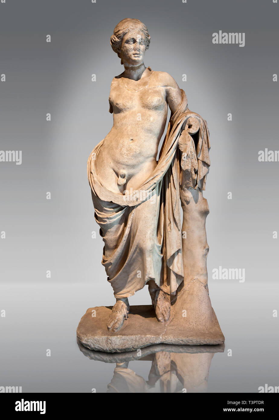 Statue de marbre grec ( Hermaphroditius les hermaphrodites) un être mythique qui a des caractéristiques mâles et femelles. À partir de Pergame (Bergama) de la Turquie. Banque D'Images