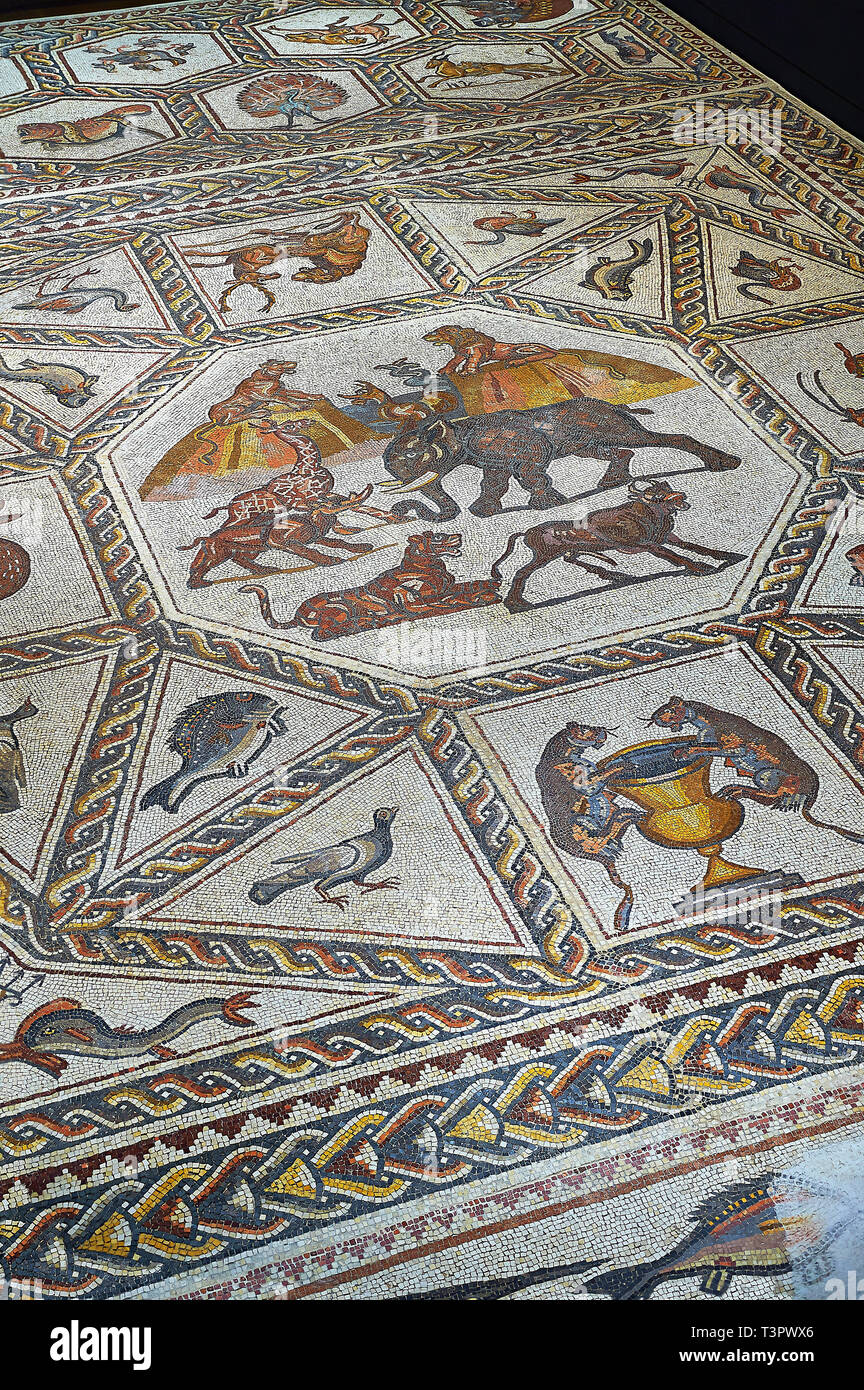 Animaux d'Afrique et le poisson de la 3e siècle mosaïque romaine villa étage de Lod, près de Tel Aviv, Israël. La mosaïque romaine de Lod est le plus grand a Banque D'Images