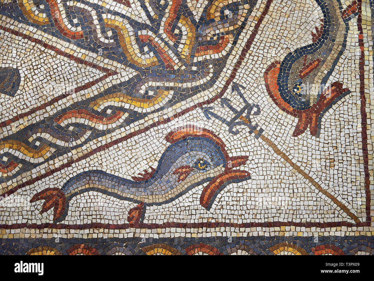 Le poisson de la 3e siècle mosaïque romaine villa étage de Lod, près de Tel Aviv, Israël. La mosaïque romaine de Lod est le plus grand et le mieux préservé mo Banque D'Images
