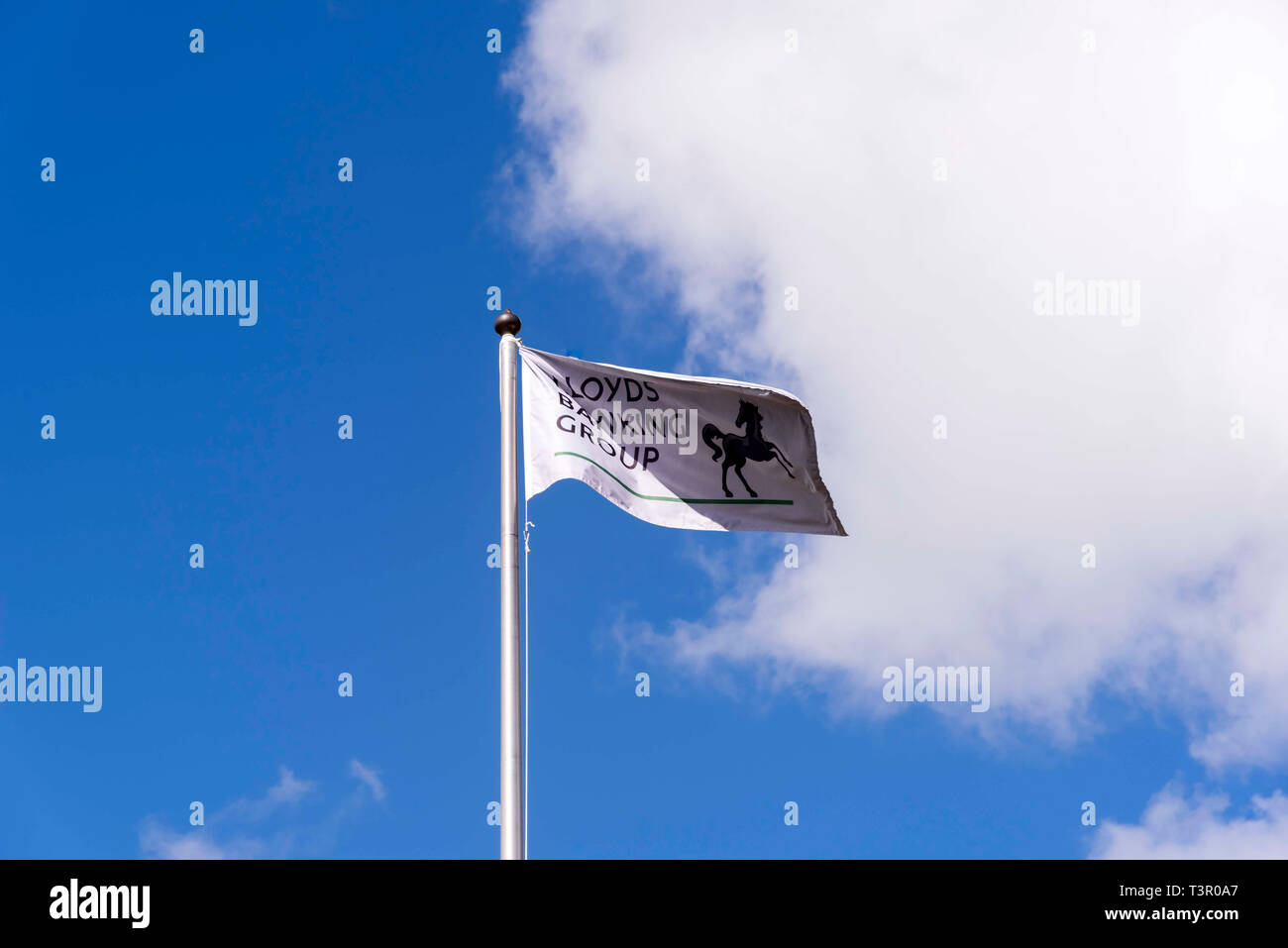 Le drapeau LGBTQ. Banque D'Images