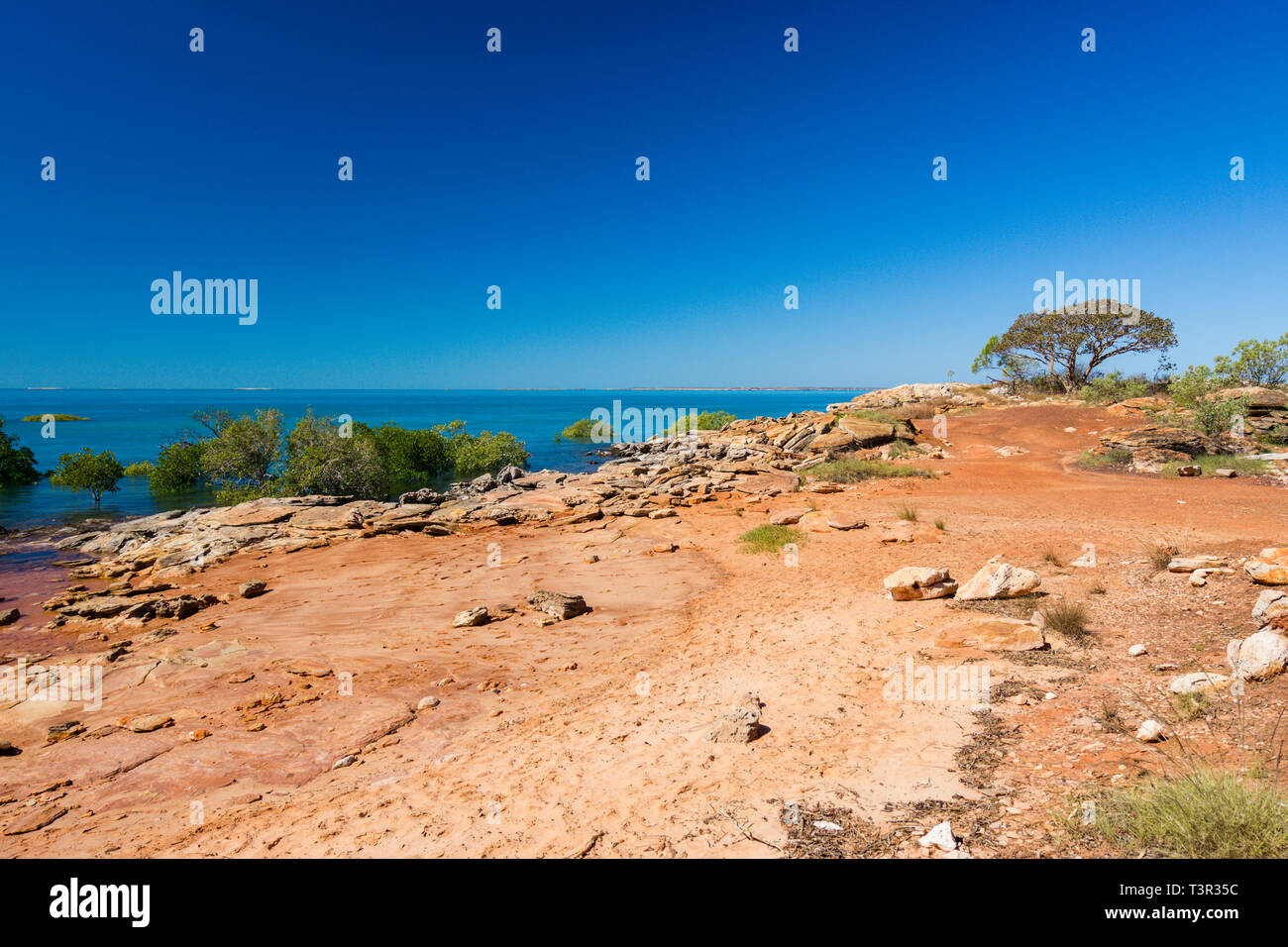 Les mangroves poussant sur des rochers du littoral de la péninsule de Cape Leveque, Karratha, Australie occidentale Banque D'Images