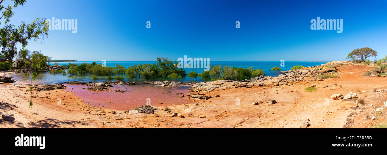 Les mangroves poussant sur des rochers du littoral de la péninsule de Cape Leveque, Karratha, Australie occidentale Banque D'Images