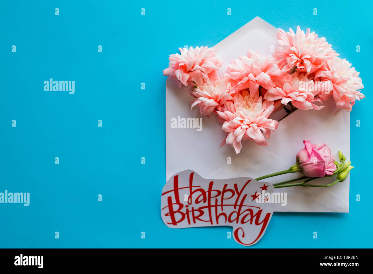 Joyeux anniversaire carte. a ouvert l'enveloppe de papier craft rempli de fleurs en fleurs au printemps. Haut de la vue, télévision lay.carte postale avec des chrysanthèmes rose sur bleu Banque D'Images