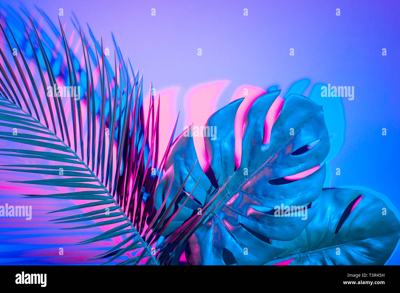 Les feuilles tropicales dans des couleurs néon holographique gradient bold Banque D'Images