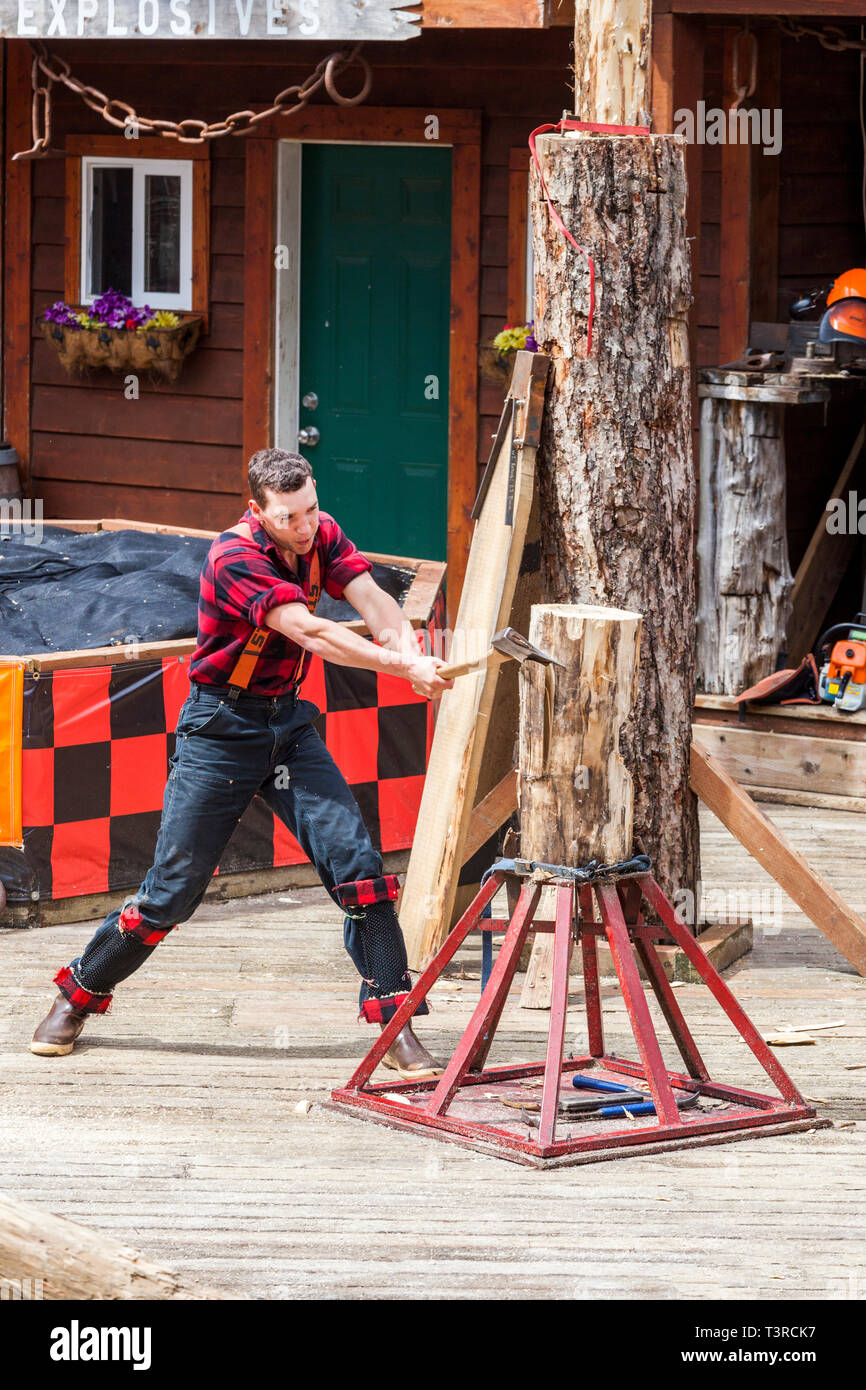 Ax à deux mains une démonstration à la Great Alaskan Lumberjack à Ketchikan, Alaska, USA Banque D'Images