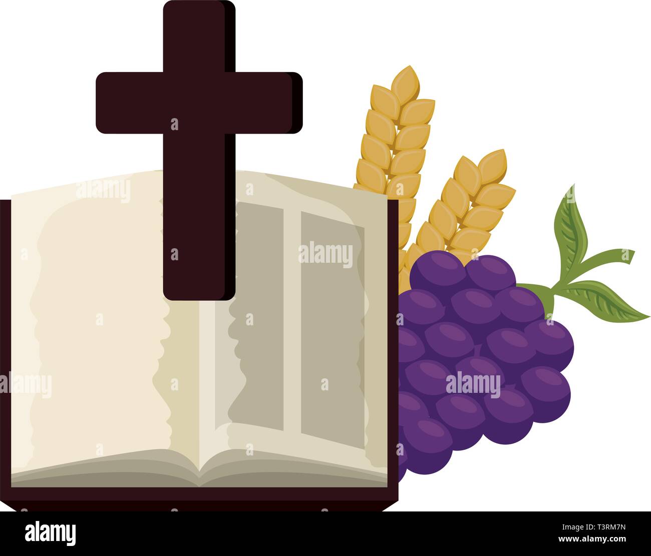 La sainte bible avec croix et les raisins Illustration de Vecteur