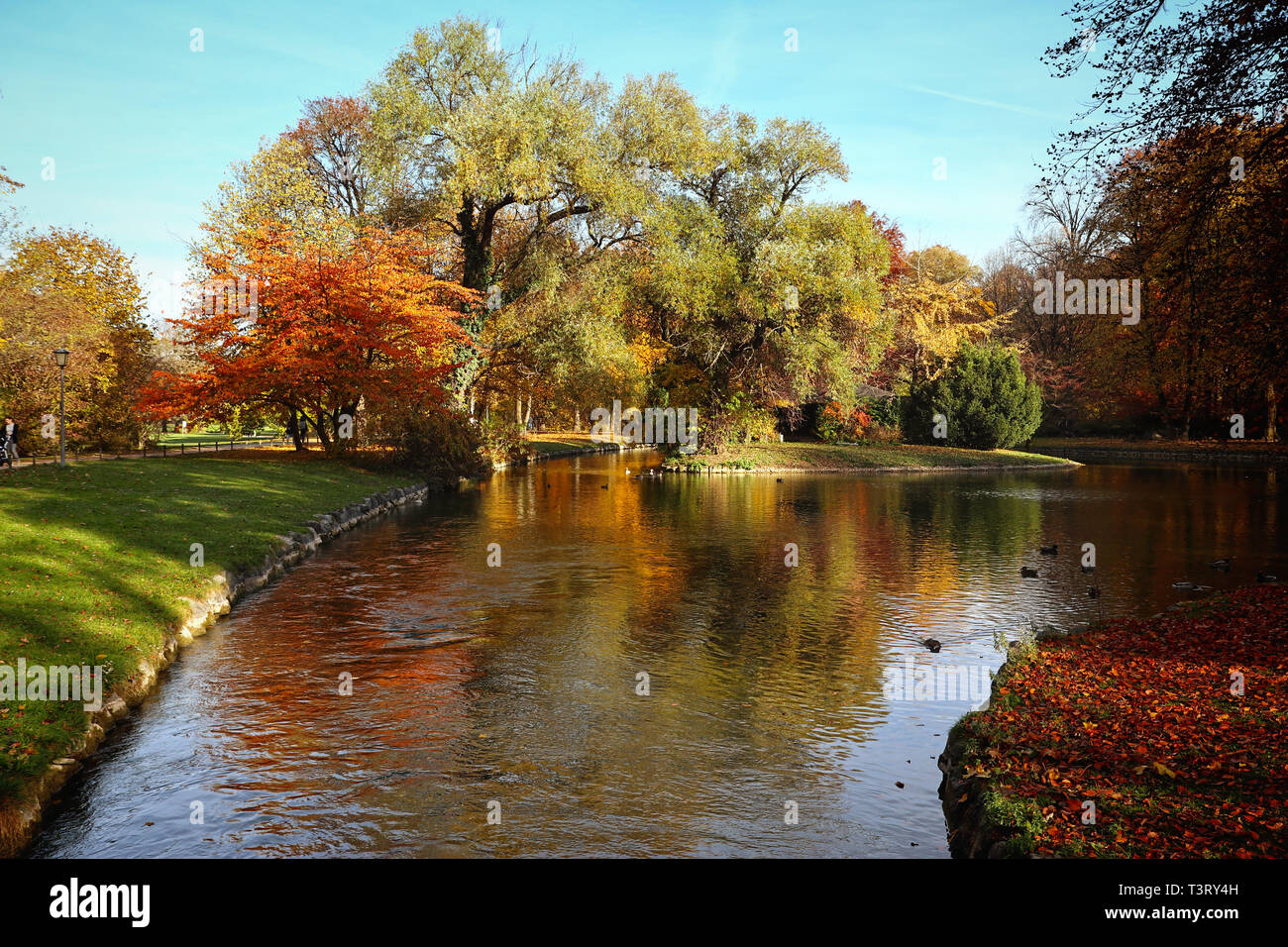 Belle Vue automnale de l'Englischer Garten à Munich avec red arbres se reflétant sur la surface des eaux d'un canal Banque D'Images