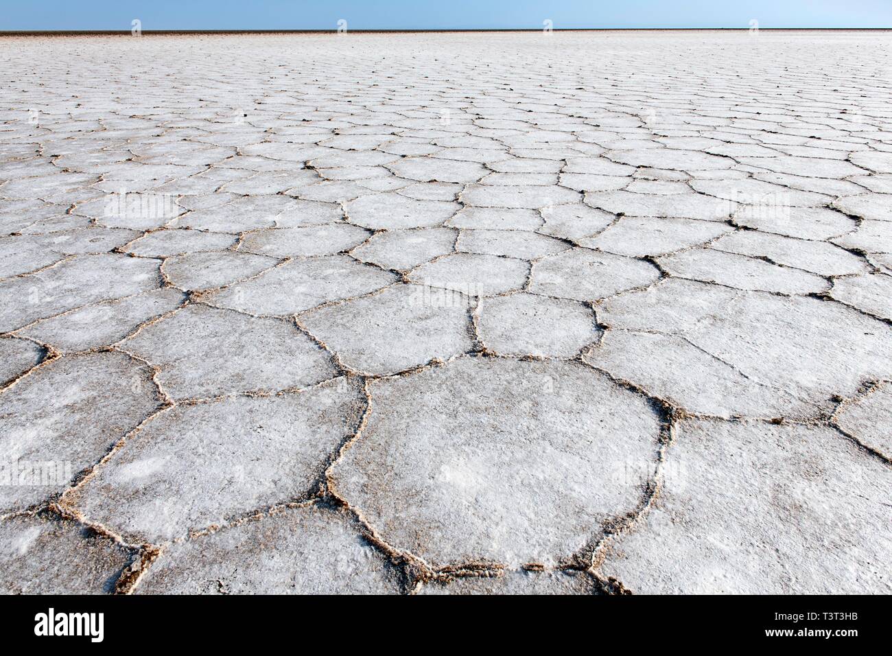 Sèches surface du lac Karoum, croûte de sel, Désert de Danakil (Ethiopie) Banque D'Images