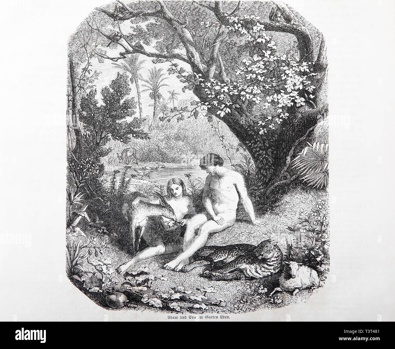 Adam et Eve dans le jardin d'Eden, Illustration historique dans une vieille Bible, à partir de 1886, l'Ancien Testament, la Sainte Ecriture, Allemagne Banque D'Images
