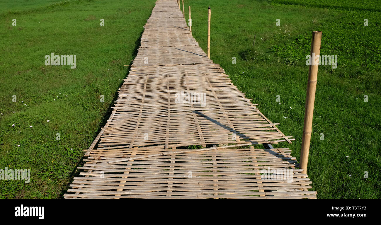 Wooden path au champ biologique riz vert et bambou pont, la belle, coucher de soir d'été Banque D'Images