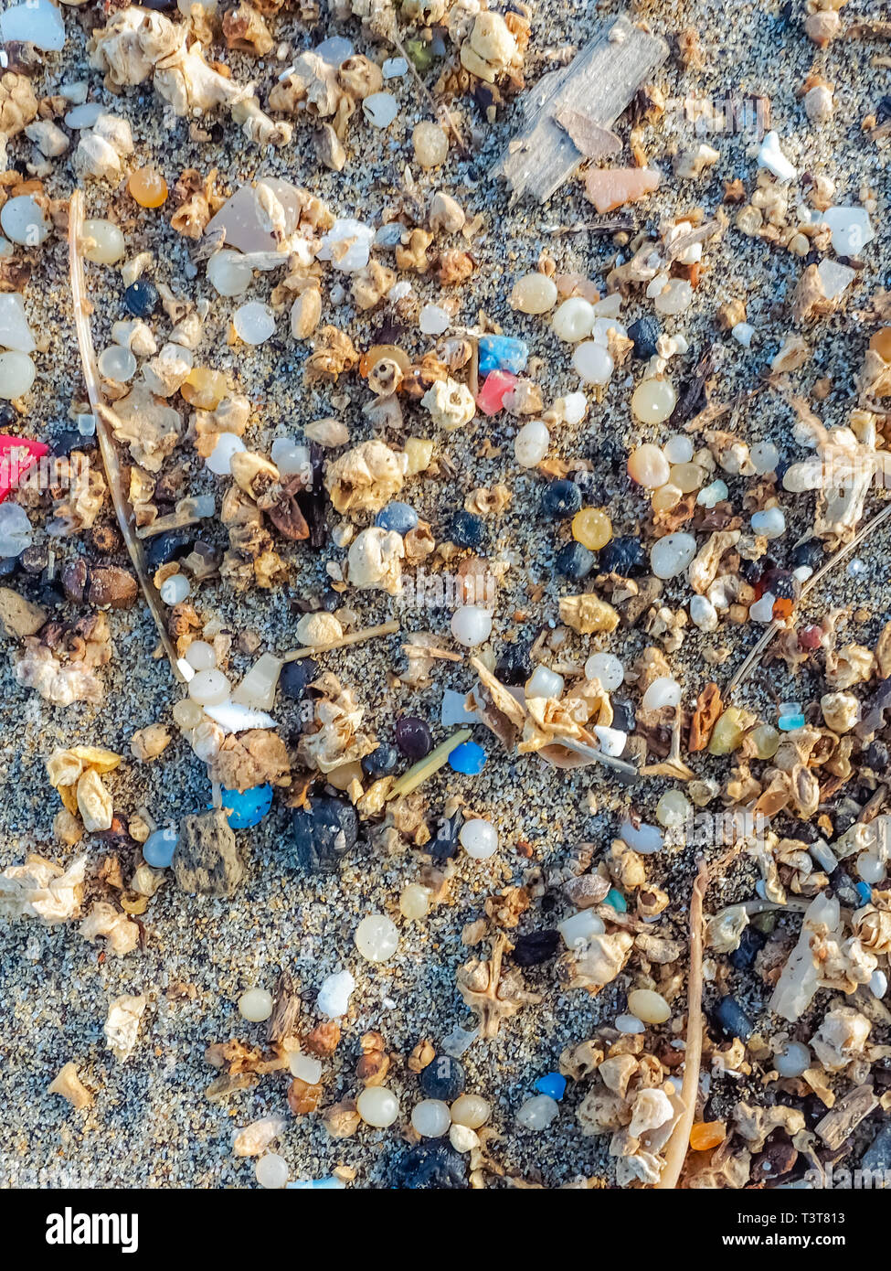 Microplastics trouvés sur le rivage d'une plage de Lanzarote. La pollution de la mer par le plastique. vertical. canary island Banque D'Images